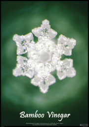 bambus_essig